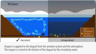 Pond amp Lake Aeration Explained 4 seasons [upl. by Sirtimed]