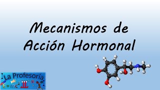 Mecanismos de acción hormonal [upl. by Harrat20]