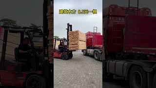 How We Turn Logs into Boards Sawmill Woodworking LogsToBoards LumberProduction [upl. by Jarret]