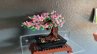 LEGO Icons Bonsai Tree Building Set 10281 [upl. by Cavill]