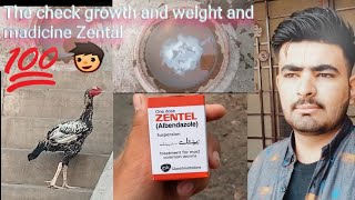 The check growth and weight and the medicine Zental [upl. by Marleah]