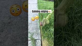 Lawn Edging ▶ 3 [upl. by Ursuline502]