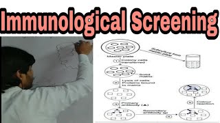 Screening Techniques part E immunological screening rDNA technology lecture 5 [upl. by Shermie]