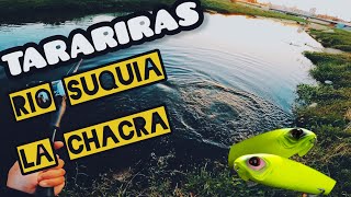 TARUCHAS RIO SUQUIA Y LA CHACRA [upl. by Behn]