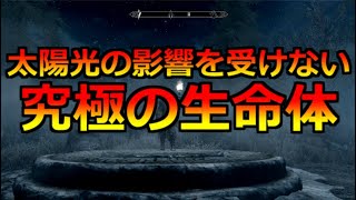 【Skyrim】太陽光の影響を受けない吸血鬼になる方法 [upl. by Engracia]