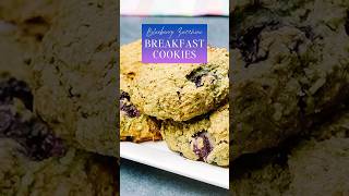 Blueberry Zucchini Breakfast Cookies THEYRE GOOD [upl. by Aydan492]