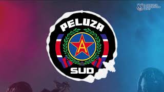 SUD STEAUA  Și de câinii erau în gară [upl. by Stoller]