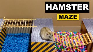 🐹 Squid Game Hamster Maze Challenges [upl. by Rednijar793]