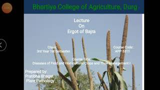 Ergot of bajra Pearlmillet by Pratibha Bhagat [upl. by Notnroht]