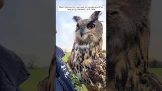 This kind woman rescued an injured owl that was lying helpless and then animalshorts [upl. by Brina532]