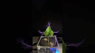 Tesla Coil Experiment teslacoil experiment lightning music shortvideo shorts viralvideo [upl. by Rekoob]