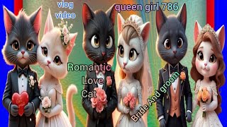 cute cat ll bridal cat ll cat couple ll romantic cat couple ll vlog video [upl. by Ann-Marie]