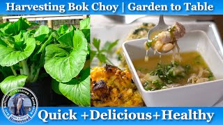 Easy Bok Choy Soup Recipe  Healthy Delicious and Quick [upl. by Nnaj]