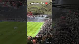 Quiet Minute Eintracht Frankfurt vs Slavia Prag ⚽️sge eintrachtfrankfurt nurdiesge slavia [upl. by Berke]