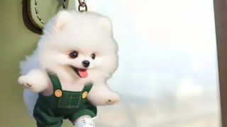 🥳🫨LETS PLAY DOG COIN BANK ASMR SHORTLIVE SHORTFEED TRENDING [upl. by Anividul964]