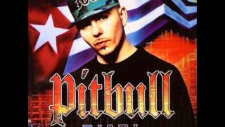 Pitbull  Dammit Man feat Piccalo [upl. by Bigod309]