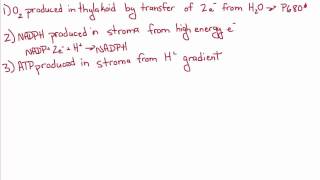 Introduction to Biology  14  More on Photosynthesis [upl. by Leola]