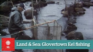 Land amp Sea  Eel Fishing near Glovertown  Full Episide [upl. by Mallorie830]