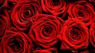 Red Roses for a Blue Lady  Backing Track [upl. by Rose657]