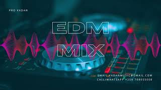 Music Mix 2024 🎧 EDM Remixes of Popular Songs 🎧 EDM Music Mix ​ [upl. by Elttil]