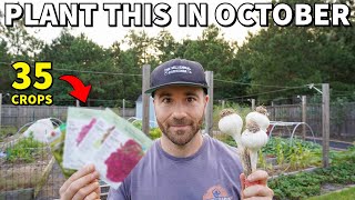 35 VEGGIES To Plant In October For A BEAUTIFUL Fall Garden [upl. by Ettelocin]