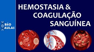 Hemostasia e Coagulação Sanguínea Atuação das Plaquetas e a Cascata de Coagulação [upl. by Nyrrad10]