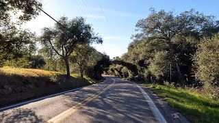 Circle R Rd to Camino Del Rey [upl. by Qiratla]