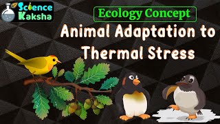 THERMAL ADAPTATION IN ANIMALS  CSIR NET  ECOLOGY [upl. by Bartolome]