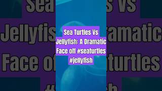 Sea Turtles Vs Jellyfish A Dramatic Face off seaturtles jellyfish [upl. by Araf232]