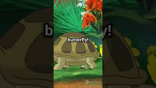 The Silly Adventures of Timmy the Turtle Story  Kids  shorts kids [upl. by Nilyarg365]