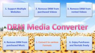 Introducing DRM Media Converter Remove DRM and Convert VideoAudio on Windows [upl. by Gershon]