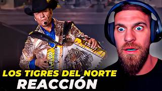 ME SHOCKEÓ 😱¨CONTRABANDO Y TRAICIÓN¨ LOS TIGRES DEL NORTE 🤯  MARK MIRANDA REACCIÓN y ANÁLISIS [upl. by Root]