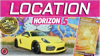 Farid Rueda Lion Mural LOCATION Forza Horizon 5 Photo Challenge CIRCLEOFLIFE Summer Series 6 [upl. by Dnomyad]