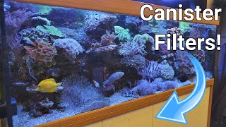 Saltwater Aquarium With Canister Filter [upl. by Walburga650]