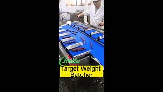 Target Batcher for fixed weight packing for smoked sausuage meat [upl. by Devona]