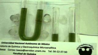 REACCION MICROELECTROQUIMICA AGUA CON VERDE DE BROMOCRESOL [upl. by Hamirak]