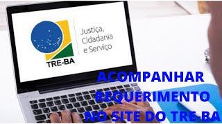 SAIBA COMO ACOMPANHAR O SEU REQUERIMENTO NO SITE DO TRE DO SEU ESTADO [upl. by Sitof997]