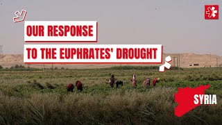 Our response to the Euphrates drought [upl. by Haidedej]