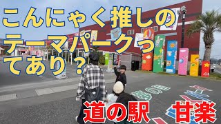 【群馬車中泊旅】群馬の穴場スポット、こんにゃくパークで、無料バイキング、詰め放題、観覧車も満喫した [upl. by Marillin122]