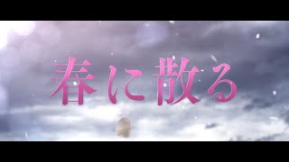 映画『春に散る』特報 825公開 [upl. by Ciryl24]