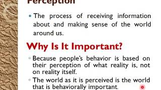 Chapter 3  Perception and Learning in Organizations [upl. by Dranoc]