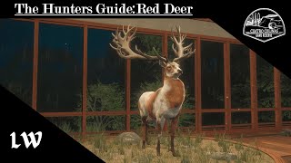 2024 The Hunters Guide Red Deer For Cuatro Colinas Hotspot map amp MORE thehuntercallofthewild [upl. by Winzler]