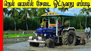 Puddling Process on Rice Fieldசேடை உழவு நெல் வயலில் ஒட்டுவது எப்படிRice Field Prepartion in Tamil [upl. by Fenella143]