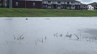 WATCH Dolphin seen swimming in Slidell flood water after Hurricane Ida [upl. by Dougherty422]