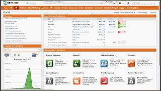 NetSuite OneWorld Overview [upl. by Naveb]