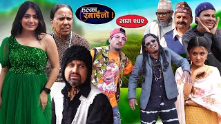 Halka Ramailo  हल्का रमाईलो  Episode 242  04 August  2024  Balchhi Dhurbe  Nepali Comedy [upl. by Aisha]