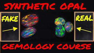 Gemology how to distinguish a synthetic Opal Gemology Course [upl. by Wiseman]