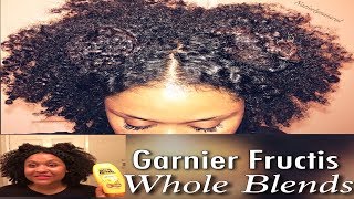 Garnier Fructis Whole Blends Review on Natural Hair  Honey Treasures Conditioner [upl. by Igig163]