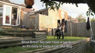 English  Animals A1A2  with subtitles [upl. by Snave]