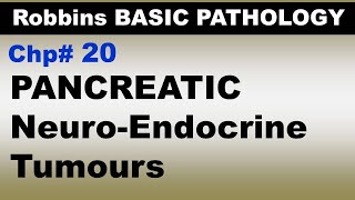 Ch20  Pancreatic Neuroendocrine Tumours  Endocrine Pathology  Robbins Pahology  Dr Asif Lectures [upl. by Yroggerg]